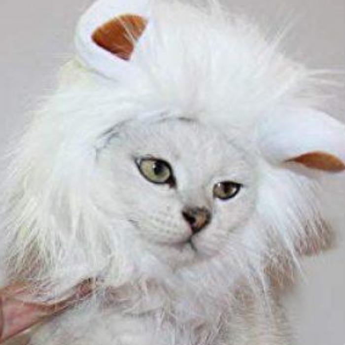 Lion Mane Cat Wig Halloween Costume