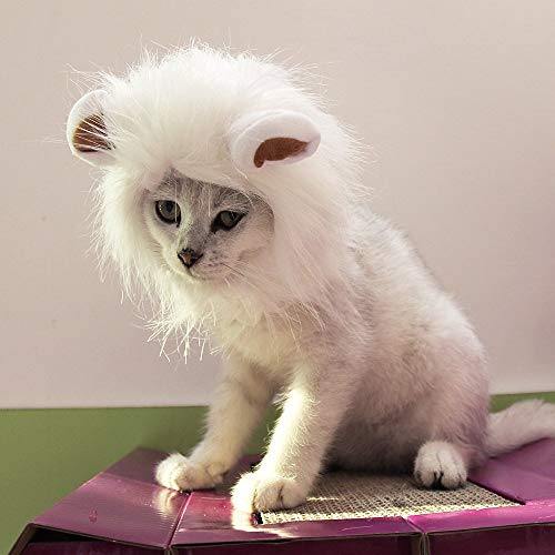 Lion Mane Cat Wig Halloween Costume